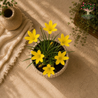 Rain Lily “Citrina” Yellow Seeds – 10 Seeds