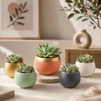 Mini Succulents in Pastel Designer Planters