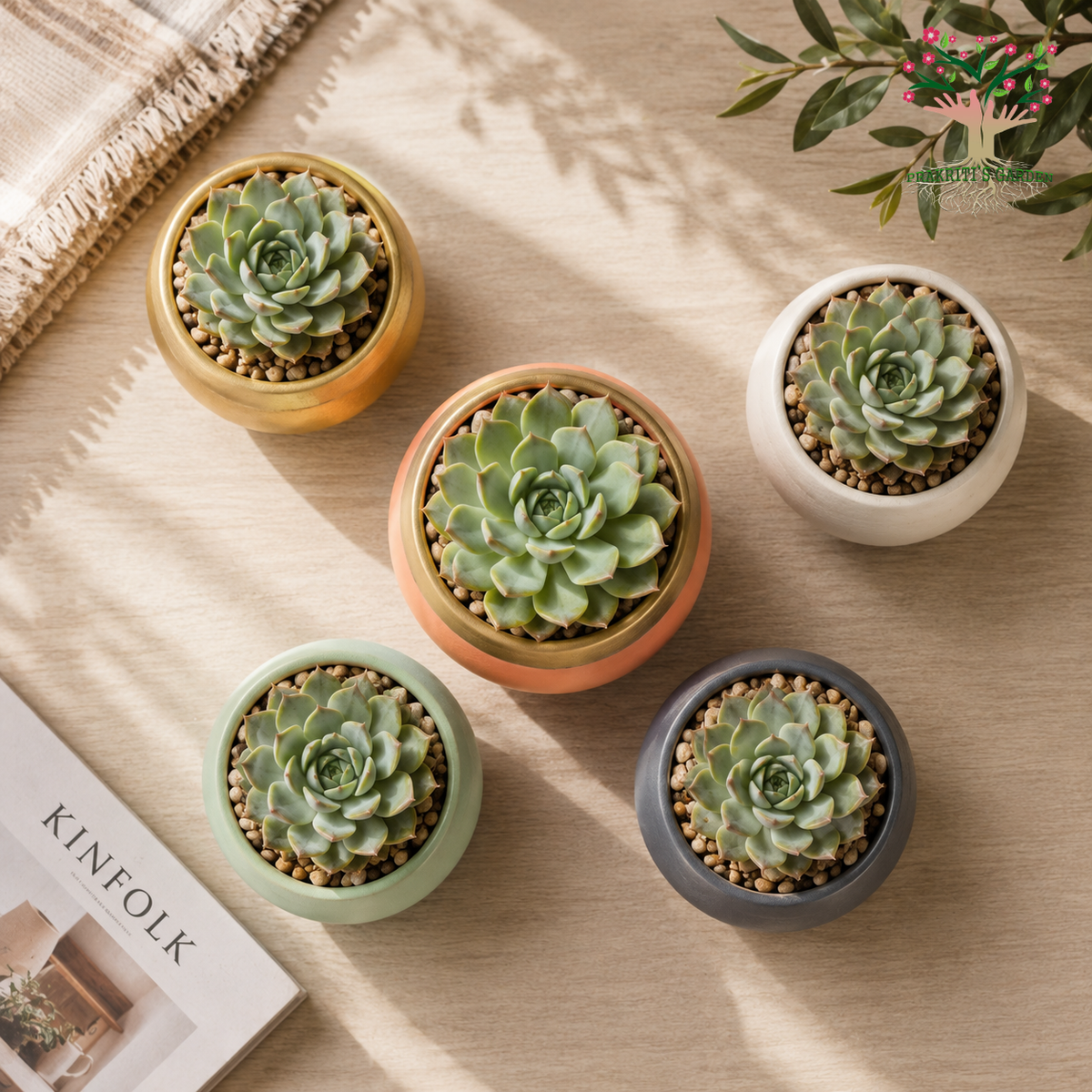 Mini Succulents in Pastel Designer Planters