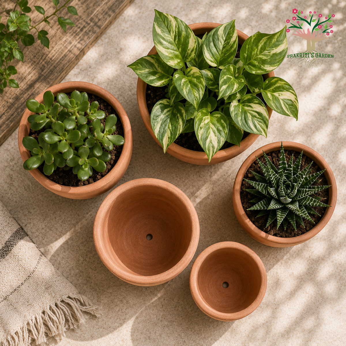 Terracotta Planters Unpolished ( Set of 5 )