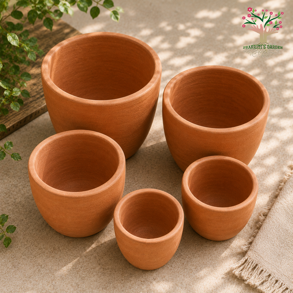 Terracotta Planters Unpolished ( Set of 5 )
