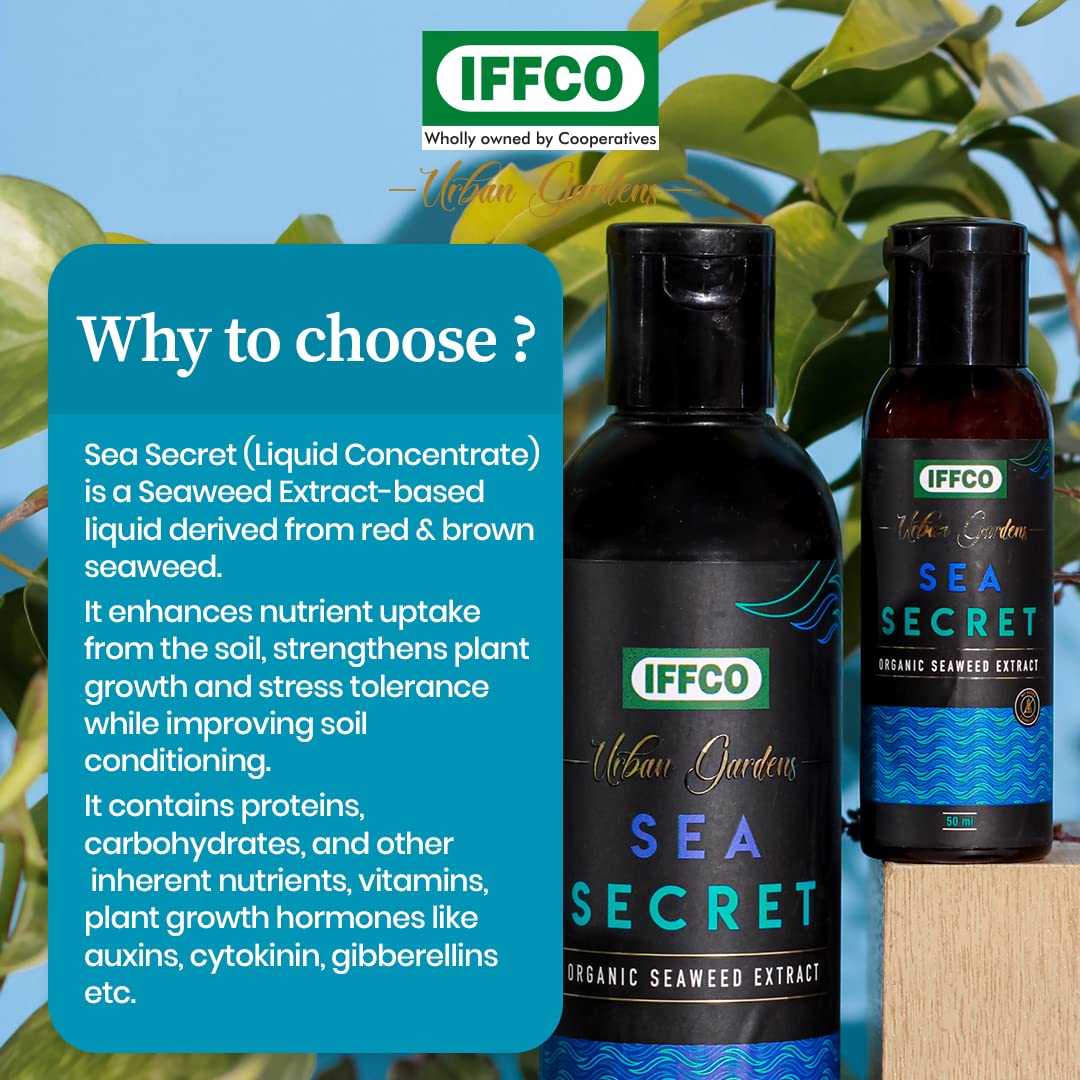 Seaweed extract bottle