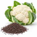 Cauliflower / Phool Gobhi Seeds ( 50 Seeds )