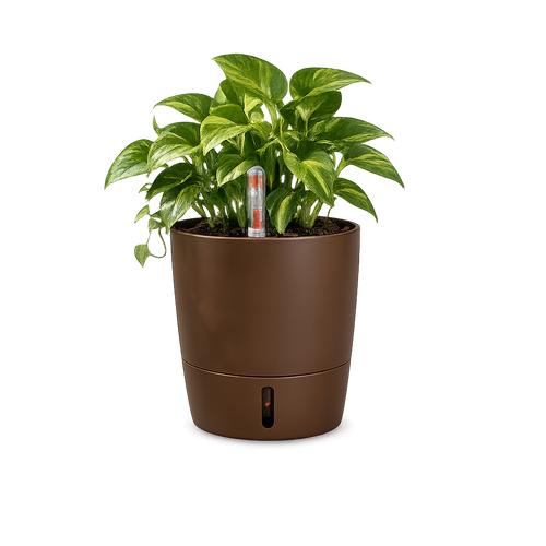 Self-Watering Pot – 4 Inches, Choose Your Colour