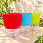Self-Watering Pot with Transparent Water Reservoir ( Choose Color )
