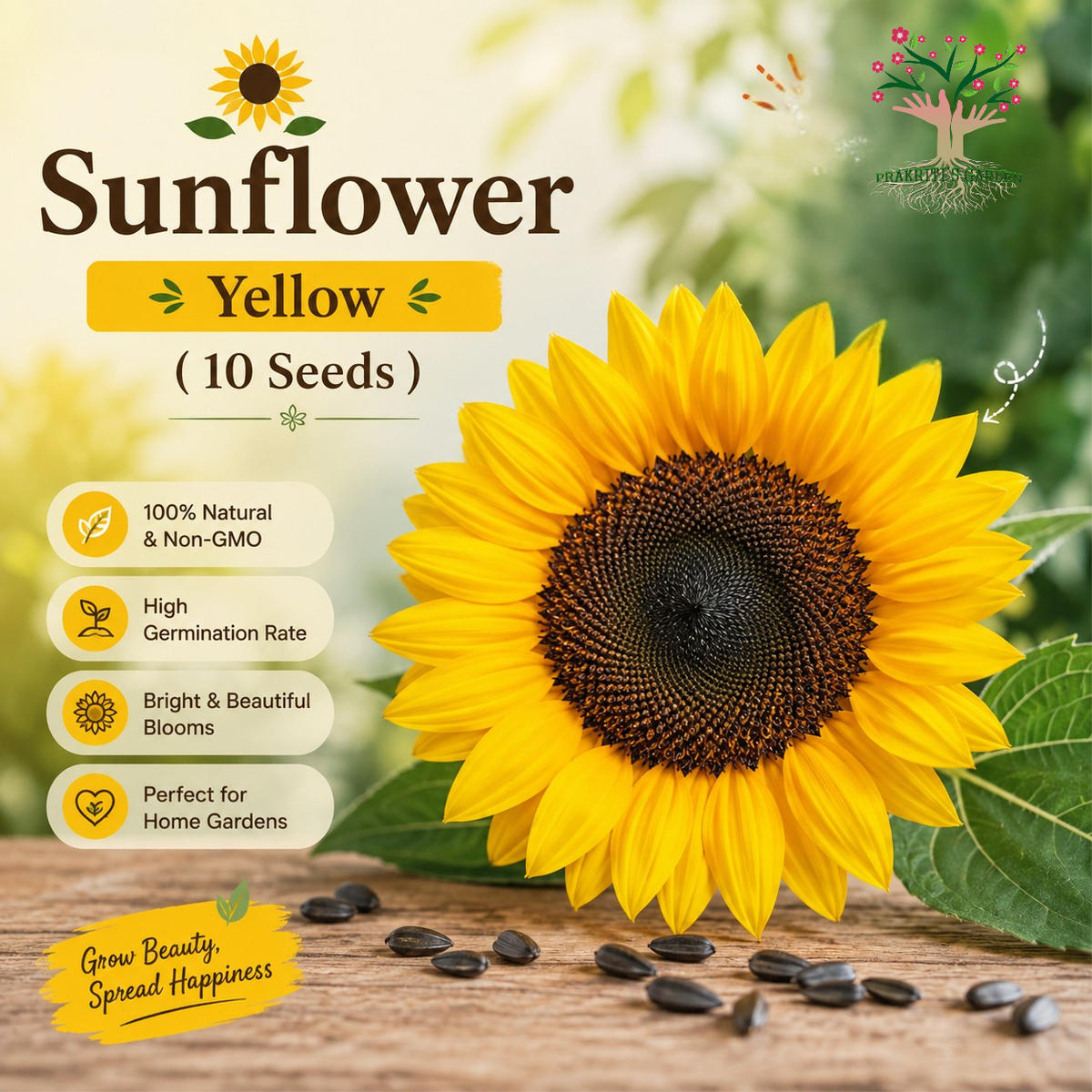 Sunflower Yellow Seeds – 10 Seeds