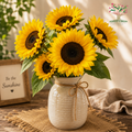 Sunflower Teddy Bear ( 20 Seeds )