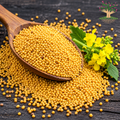 Yellow Mustard / Peeli Sarson ( 35 gram )