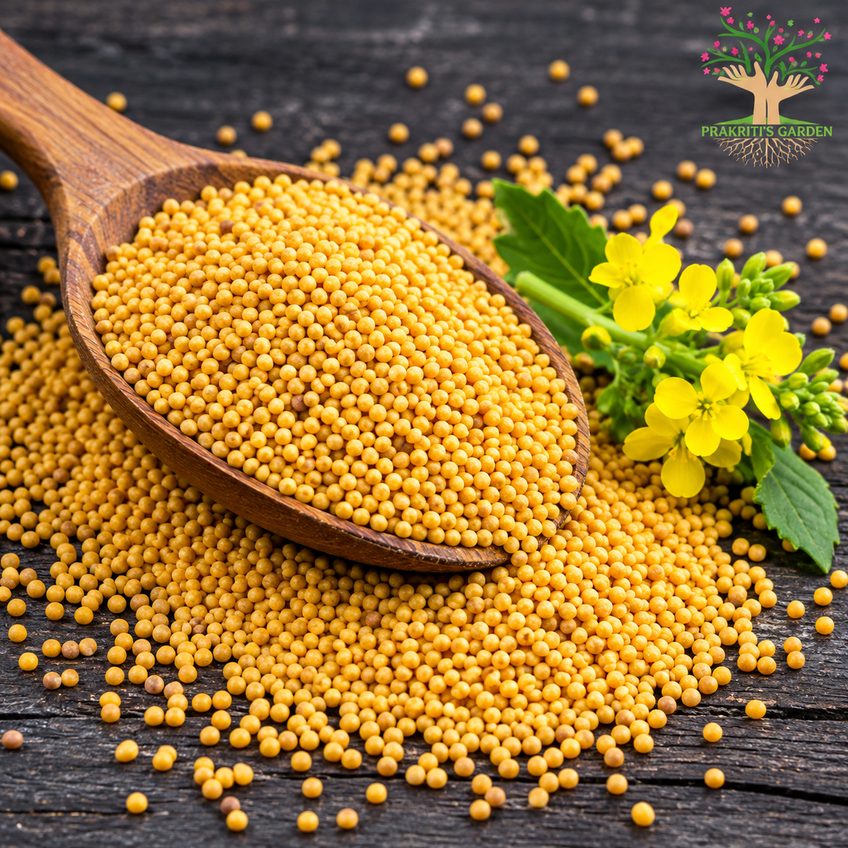 Yellow Mustard / Peeli Sarson ( 35 gram )