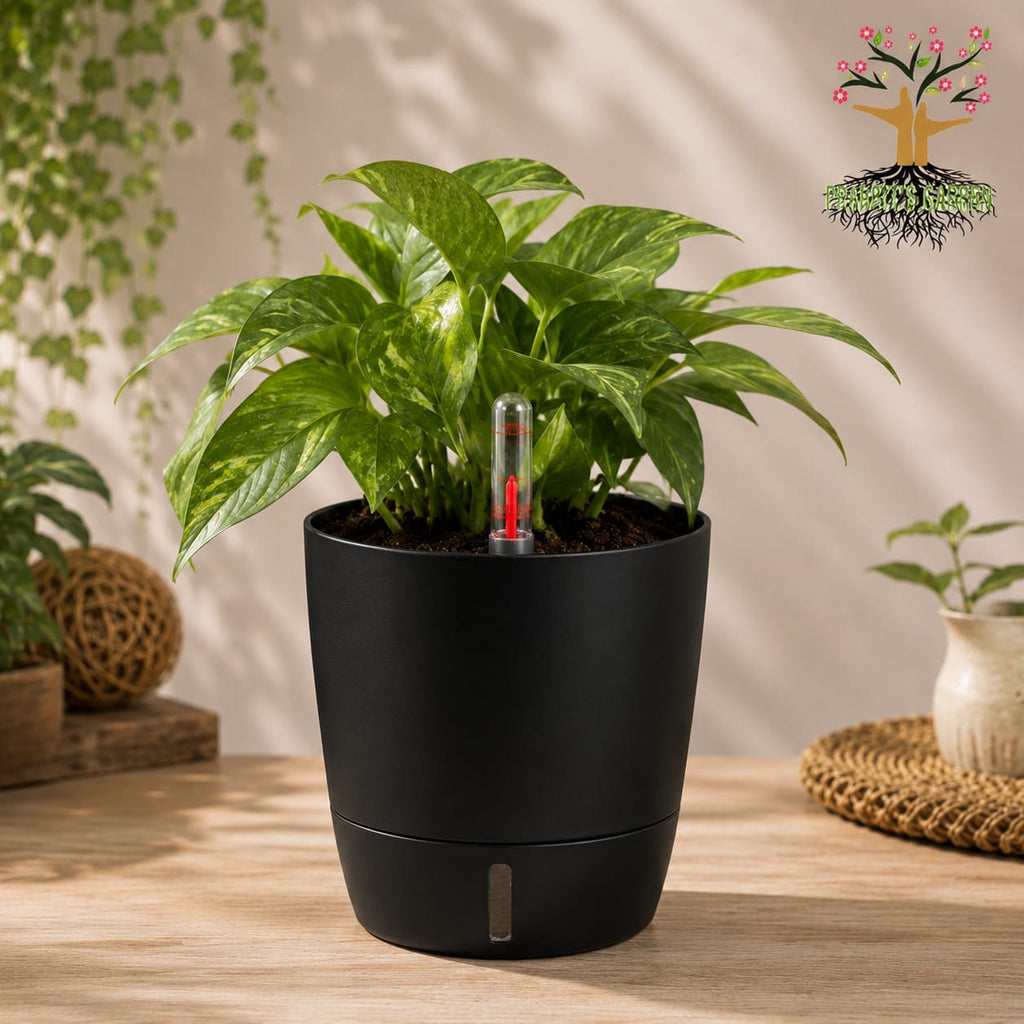 Self-Watering Pot – 4 Inches, Choose Your Colour