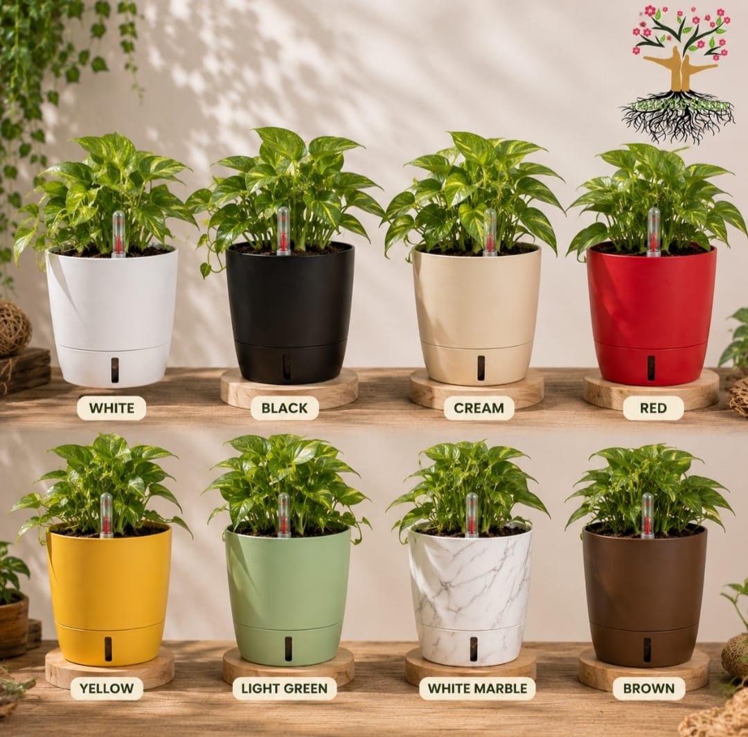 Self-Watering Pot – 4 Inches, Choose Your Colour