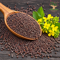 Black Mustard / Kali Sarson ( 40 gram )