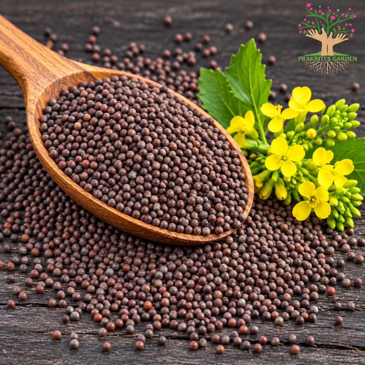 Black Mustard / Kali Sarson ( 40 gram )