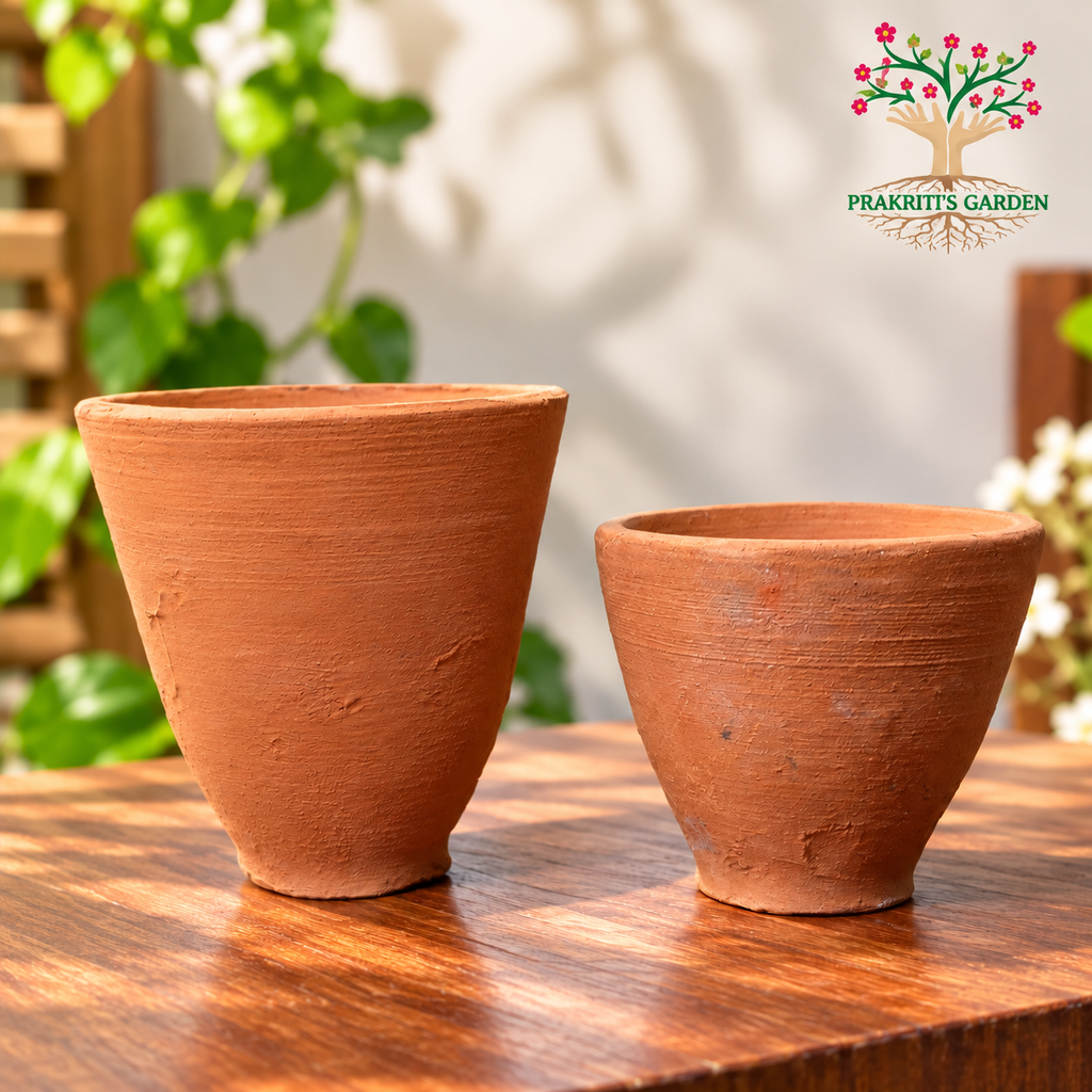 Terracotta Planters Narrow ( Set of 5 ) - Choose Your Size