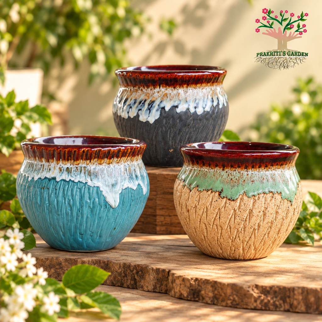 Elegant Glazed Ceramic Pot ( Choose Color )