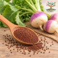 Shalgam / Turnip ( 35 gram )