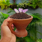 Vermicompost with Seaweed 1kg