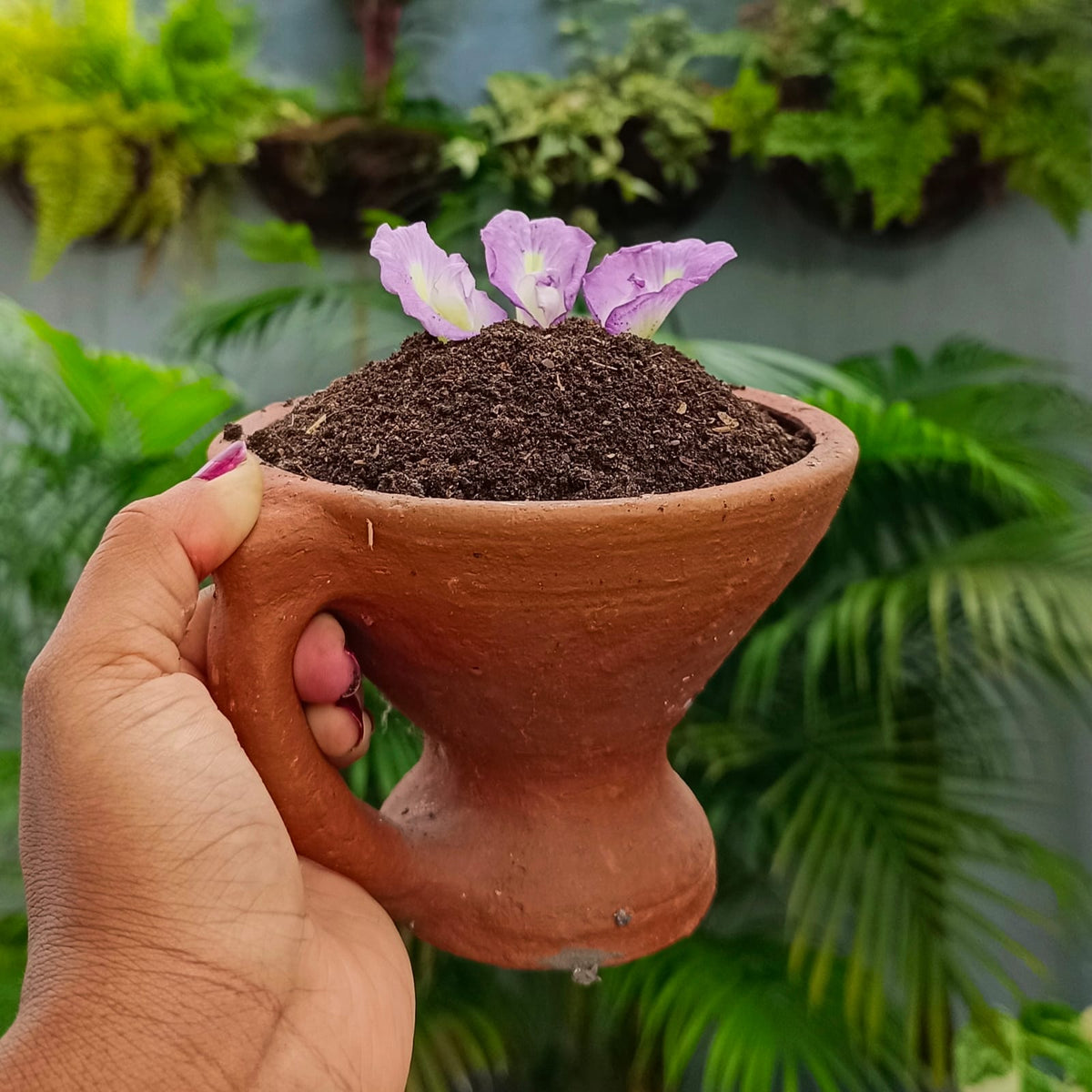 Vermicompost with Seaweed 1kg