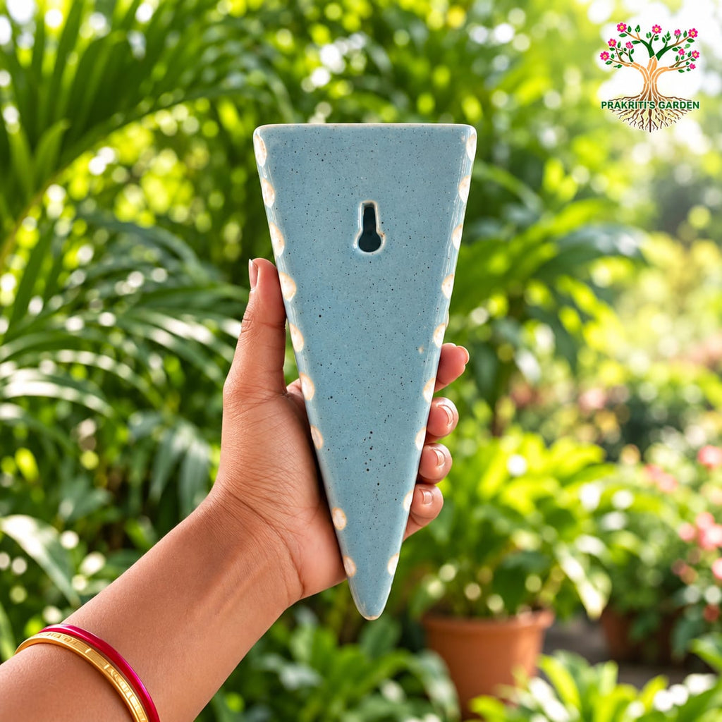 Ceramic Wall Planter