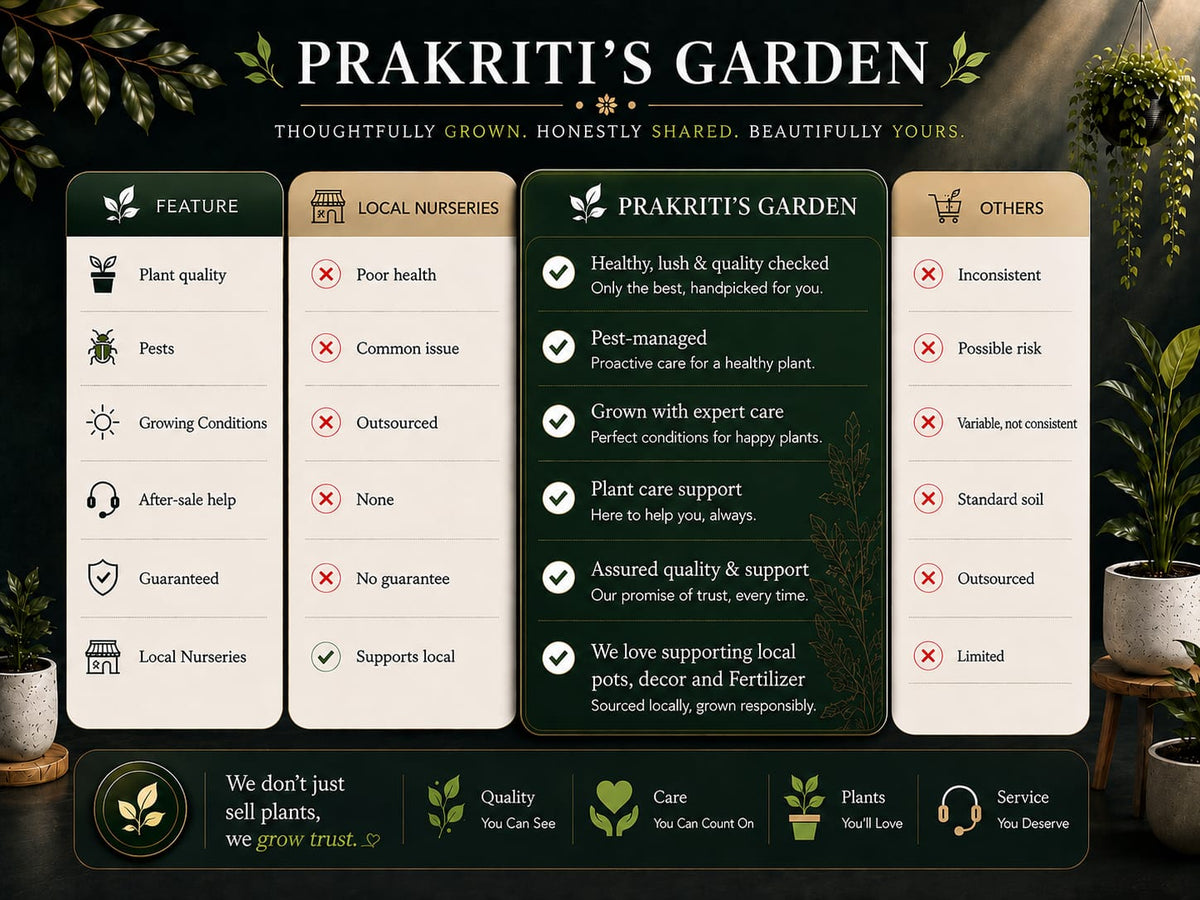 A promotional comparison graphic for 'Prakriti's Garden' comparing plant health and local nursery services. The graphic features a dark green and beige table layout with text comparing aspects like plant quality, pests, growing conditions, and care support, set against a background of potted plants.