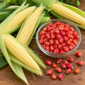Baby Corn ( 20 Seeds )