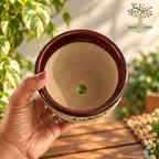 Elegant Glazed Ceramic Pot ( Choose Color )