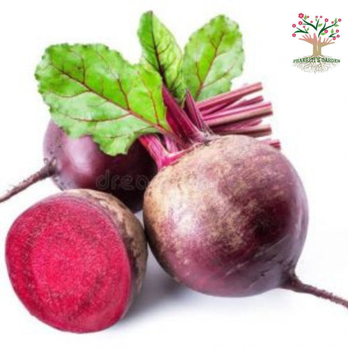 Fresh beetroot (chukandar)