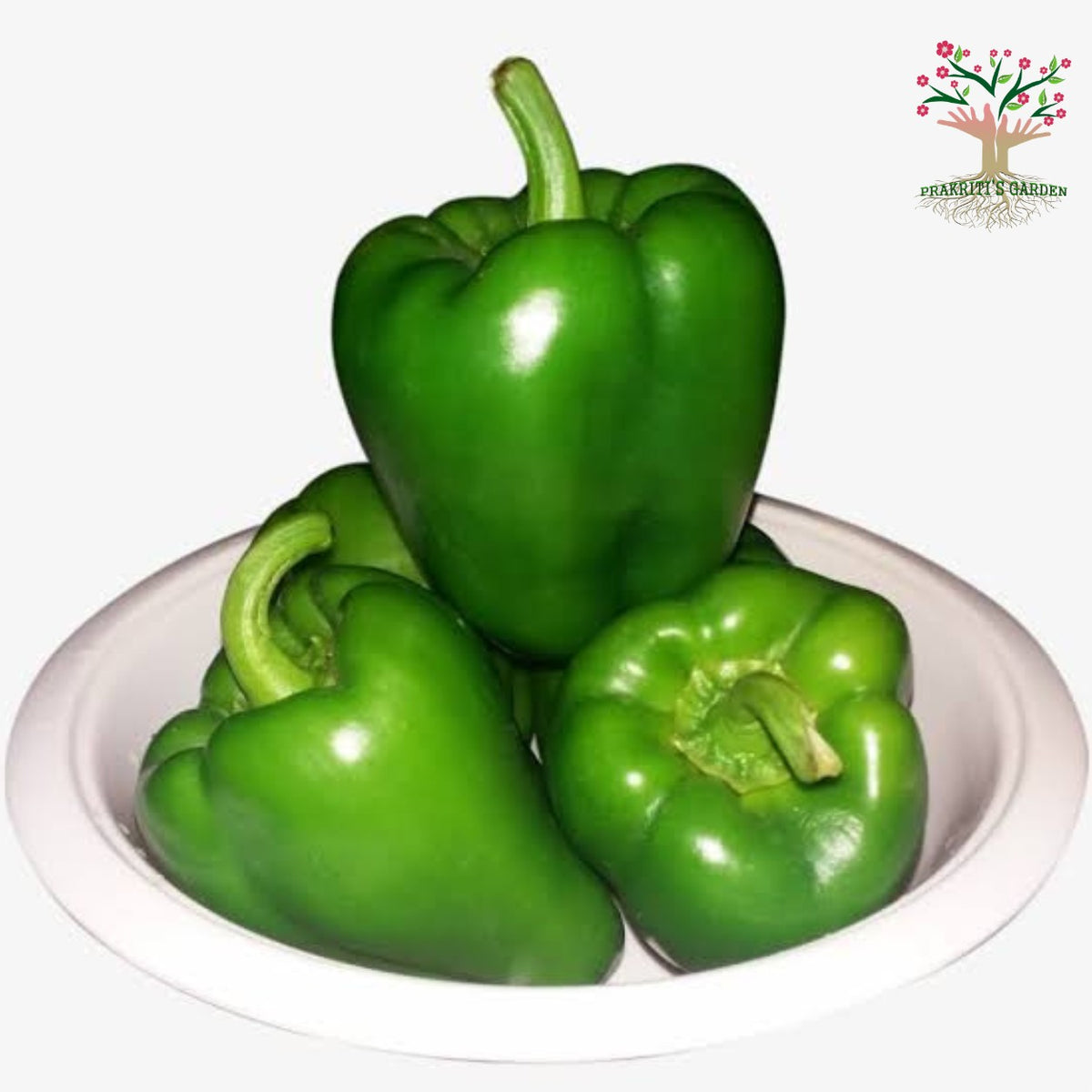 Green capsicum (shimla mirch)