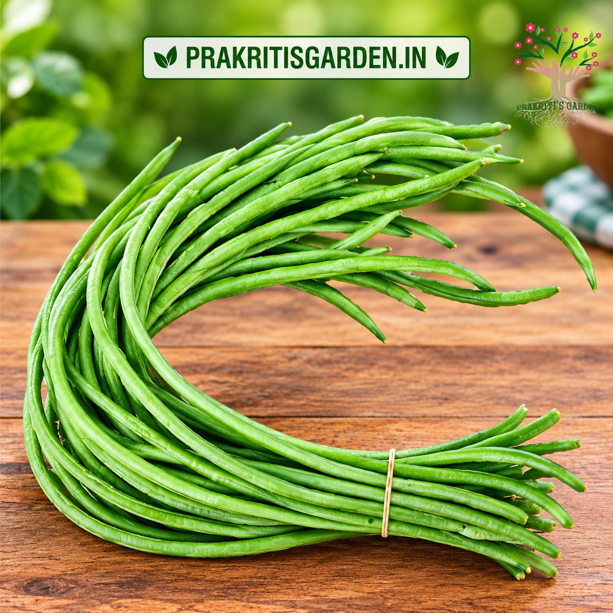 Cowpea (barbatti / lobia) beans