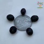 Curry leaf seeds