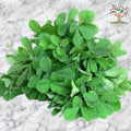 Fresh fenugreek (methi) leaves