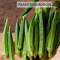 Fresh okra (bhindi)