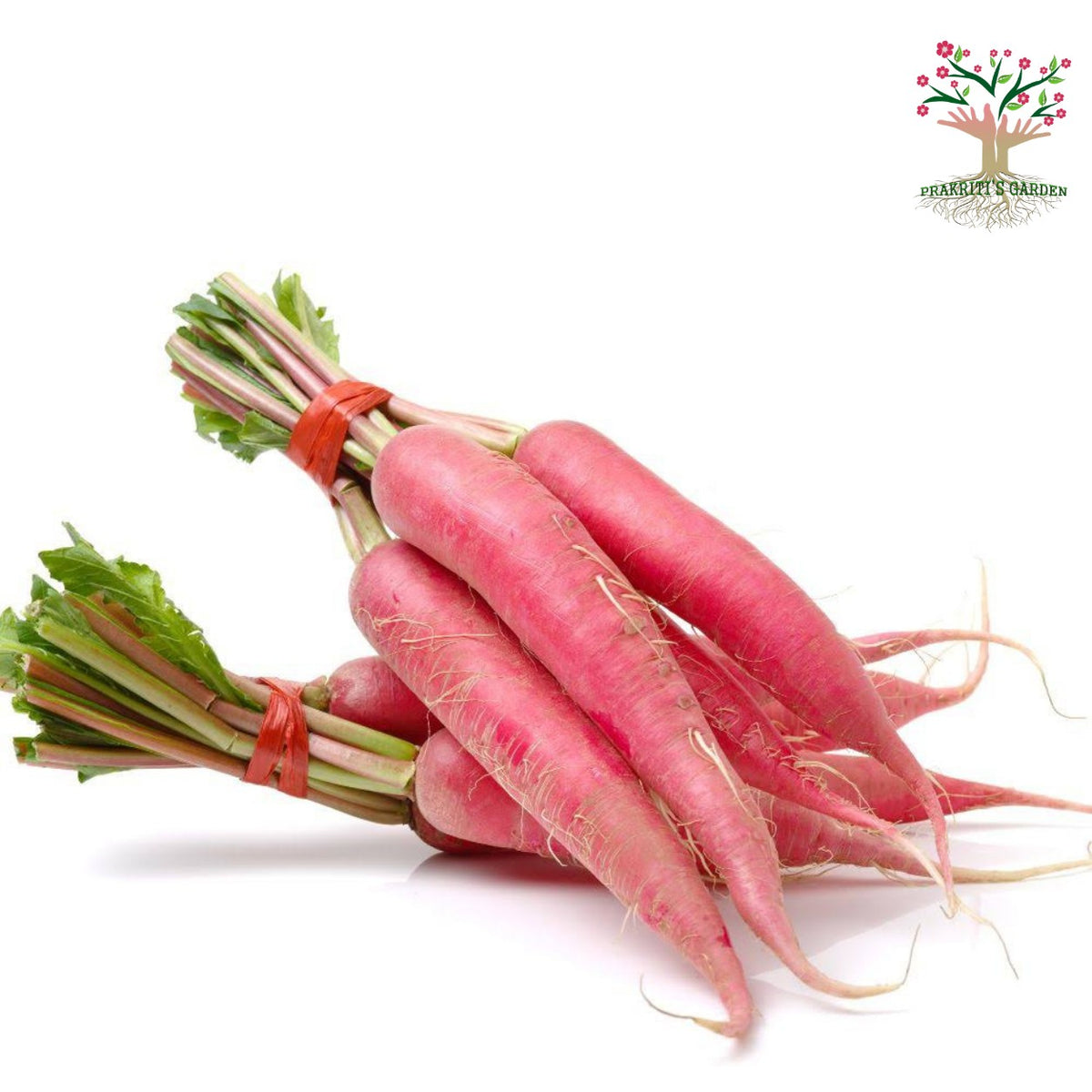 Red long radish