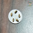 Thuja seeds