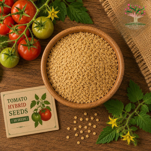 Tomato hybrid seeds pack