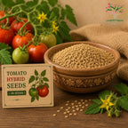 Tomato hybrid seeds in bowl