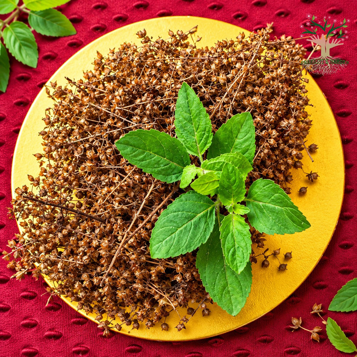Tulsi (holy basil) plant and seeds