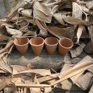 Terracotta Planters(Set Of 5)