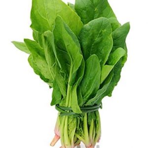 Green Spinach/Palak